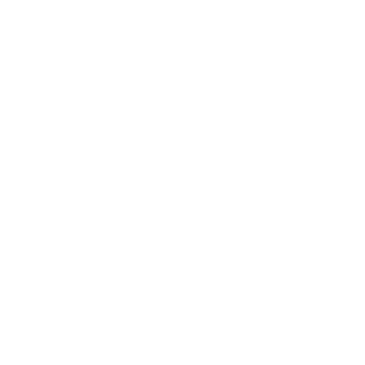 Vikdwell Digital Marketing Agency ecommerce SEO services for retail brands product optimization online store growth digital marketing